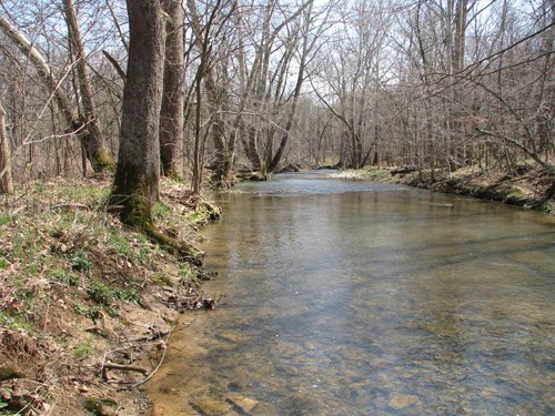 Property photo 13 - 137 Acres in 2 Tracts - 64 Tillable Acres, Potential Building Sites, Hunting